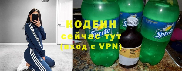 хмурый Абаза