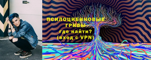 мяу мяу мука Абдулино