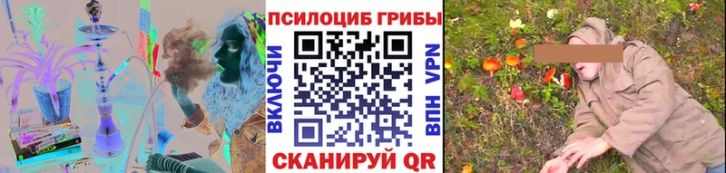 наркотики  Богданович  Галлюциногенные грибы Cubensis 